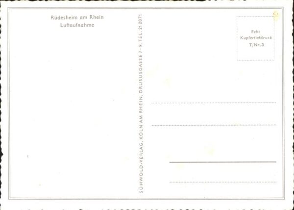 Ruedesheim Rhein Fliegeraufnahme – Bild 2