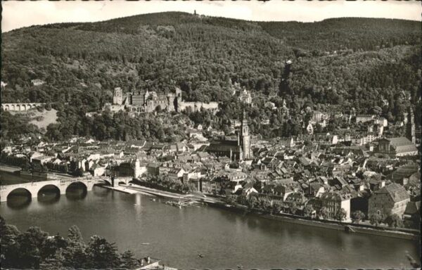 Heidelberg Neckar Blick vom Philosophenweg Altstadt Schlo