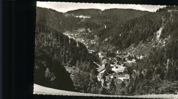 Triberg Blick vom Hohnen