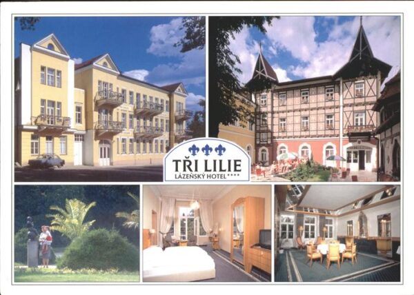 Frantiskovy Lazne Lazensky Hotel Tri Lilie Park Skulptur