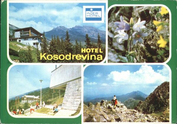 Brezno Hotel Kosodrevina Nizke Tatry Berghotel