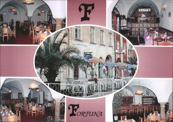 Cheb Eger Restaurace Fortuna Restaurant