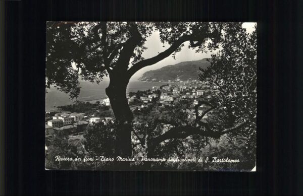 Diano Marina Panorama dagli uliveti di S. Bartolomeo