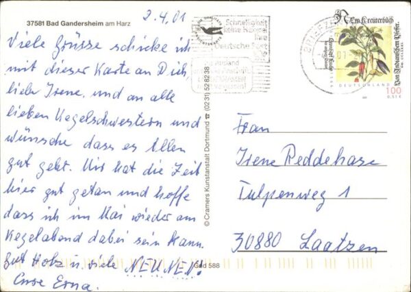 Bad Gandersheim Fliegeraufnahme – Bild 2