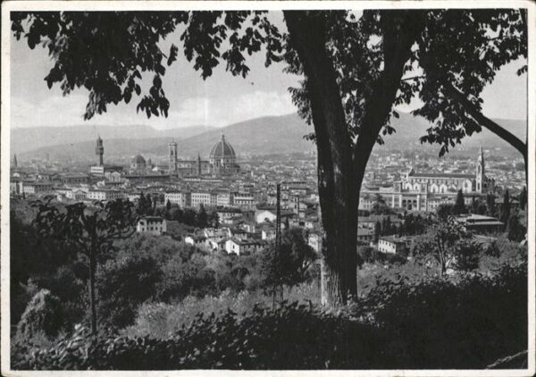Firenze Florenz Panorama