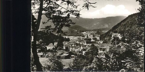 Oppenau Panorama