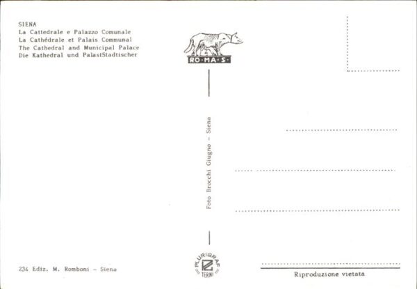 Siena La Cattedrale e Palazzo Comunale Fliege – Bild 2