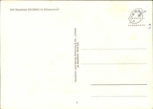 Wildbad Schwarzwald Fliegeraufnahme – Bild 2