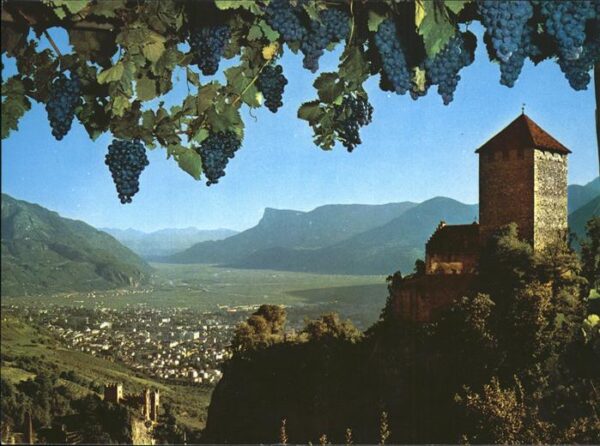 Merano Meran Schloss Tirol im Etschtal