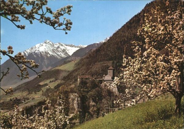 Meran Merano Schloss Tirol mit Zielspitze