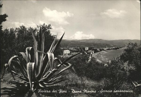 Diano Marina Scorcio panoramica