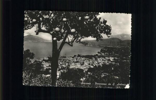 Sorrento Campania Panorama da San Antonio