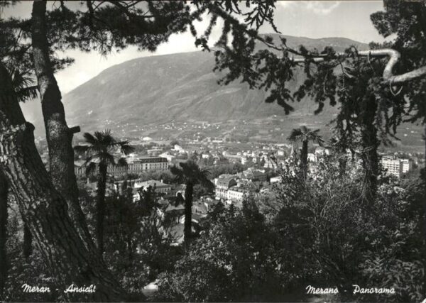 Merano Meran Panorama