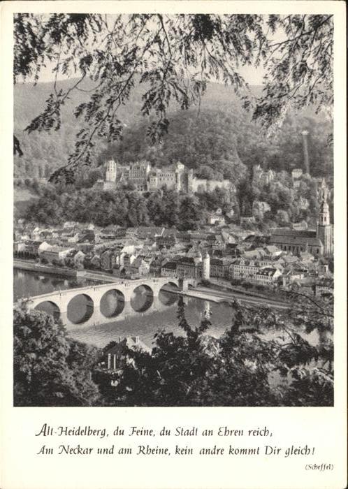 Heidelberg Neckar Altstadt mit Brücke und Schloss
