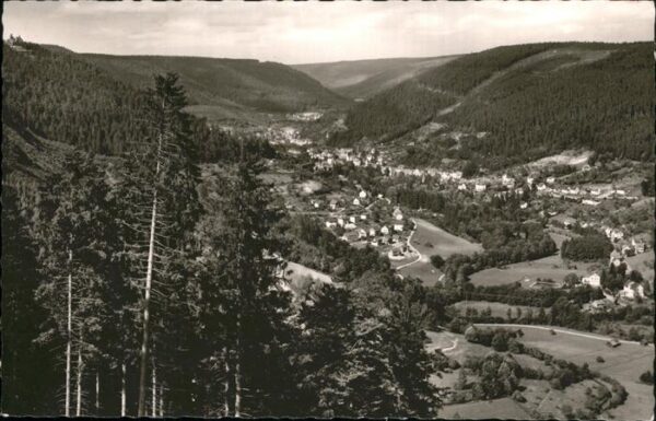 Bad Wildbad