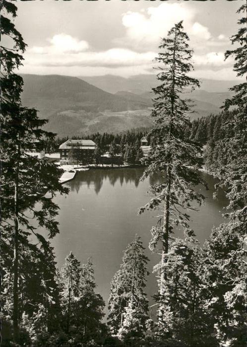 Mummelsee