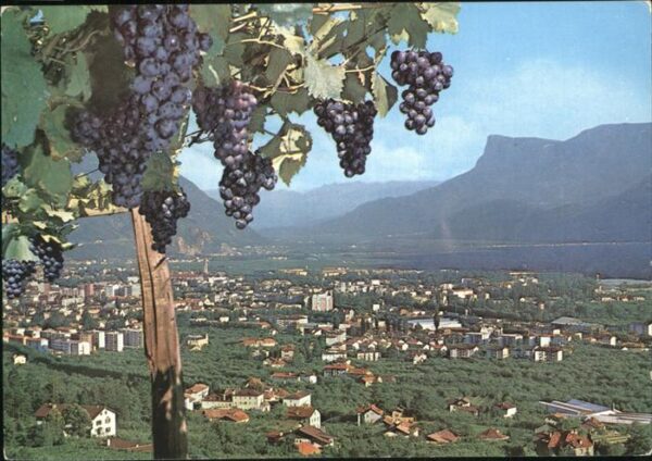 Merano Meran
