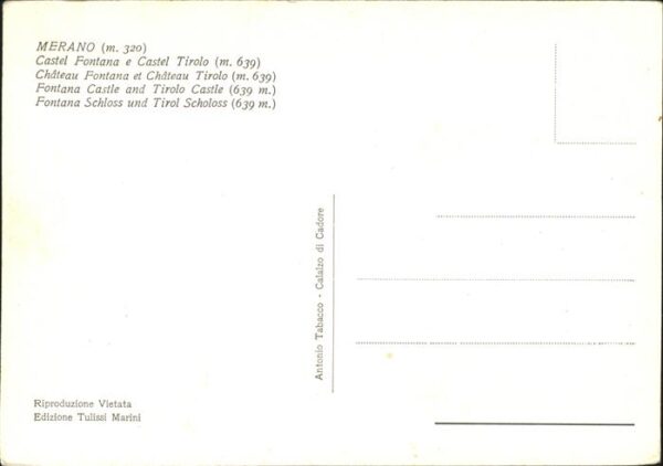 Merano Meran mit Castel Fontana u.Castel Tirolo – Bild 2