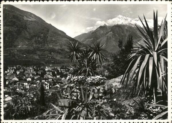 Merano Meran
