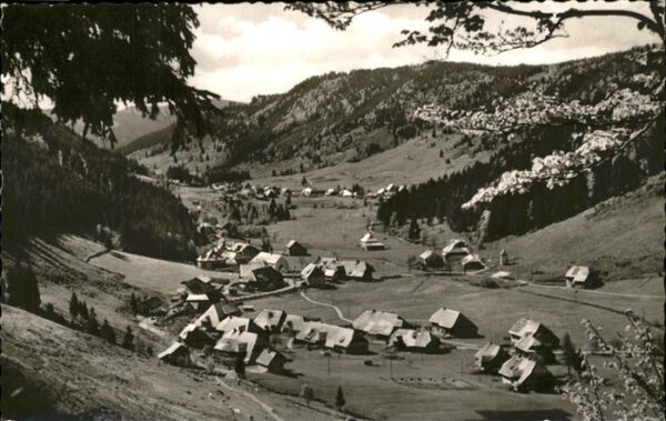 Menzenschwand