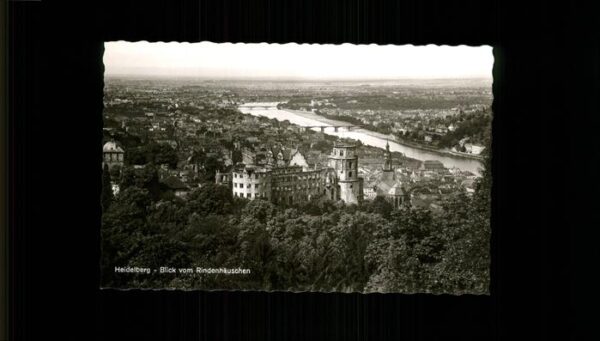 Heidelberg Neckar Blick vom Rindenhäuschen