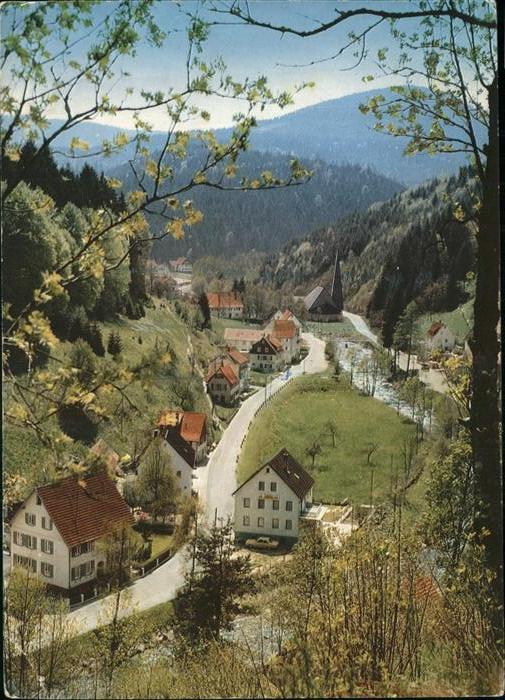 Schoenmuenzach