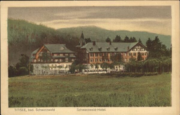 Titisee-Neustadt Schwarzwald Hotel
