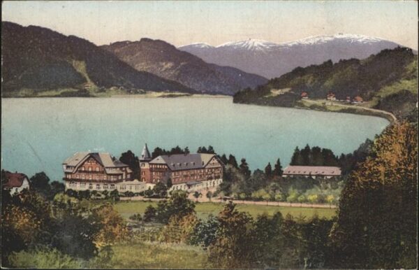 Titisee Seepanorama mit Hotels