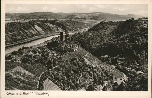 Kobern-Gondorf Niederburg