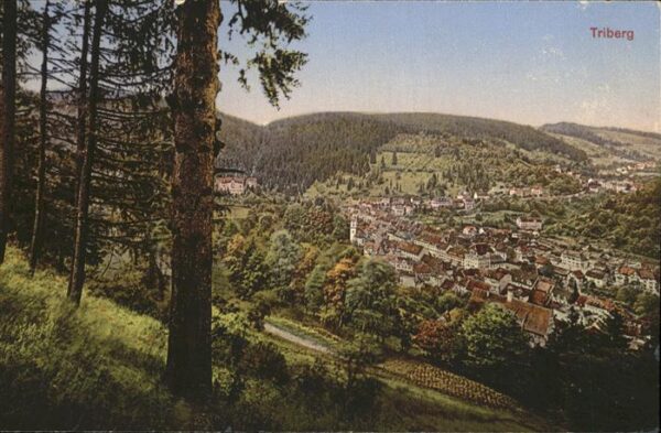 Triberg Schwarzwald Panorama