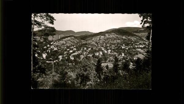 Scheuern Gernsbach Panorama