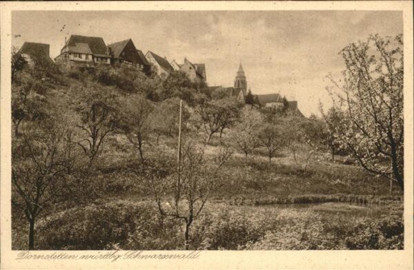Dornstetten Wuerttemberg Teilansicht
