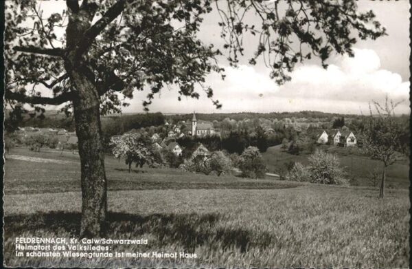 Feldrennach Panorama