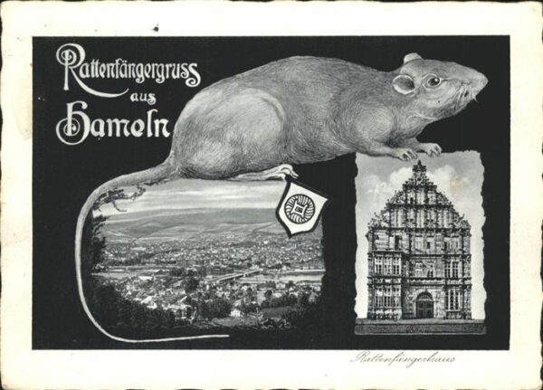 Hameln Weser Rattenfängerhaus Panorama Ratte