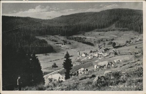 Aeule Panorama