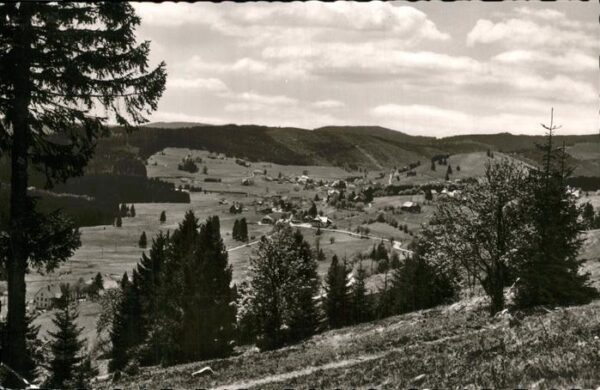 Falkau Panorama