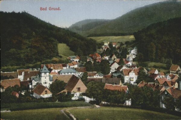 Bad Grund Panorama