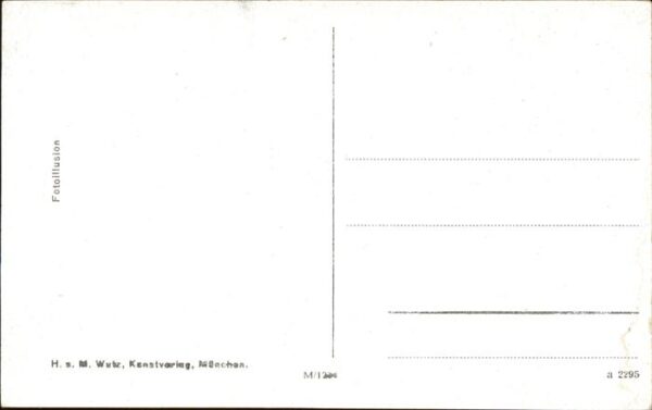 Ulm Donau Karikatur Der Schneider von Ulm – Bild 2