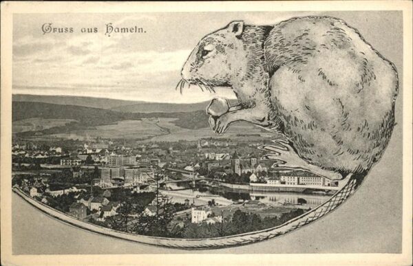 Hameln Weser Panorama und Ratte
