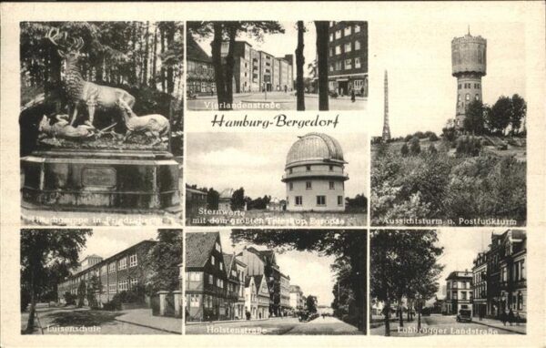 Bergedorf Hamburg Hirschgruppe Vierlandenstr Aussichtstur