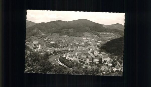 Wolfach Panorama