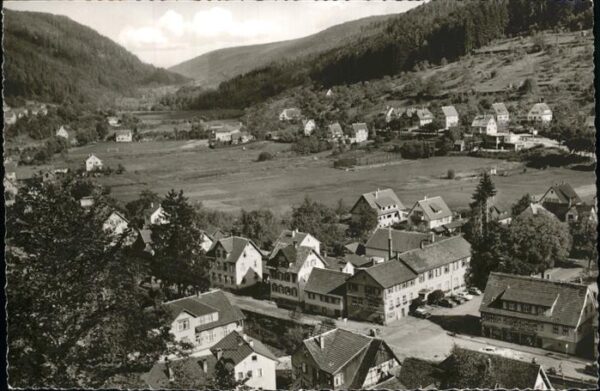 Calmbach Enz Ortsblick mit Hotel Anker