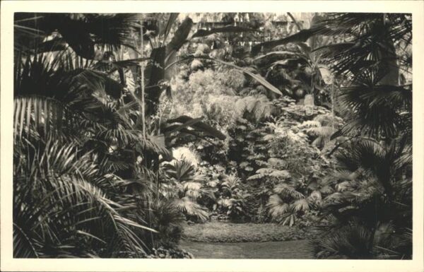 Frankfurt Main Palmengarten