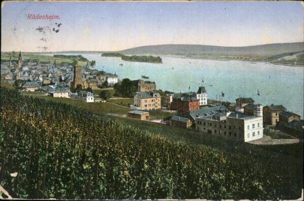 Ruedesheim Panorama mit Rhein Schiff
