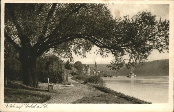 Unkel Rhein Panorama mit Rhein Schiff