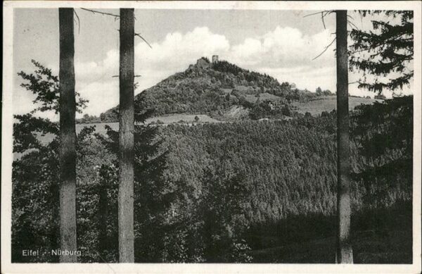Nuerburg Panorama mit Burg
