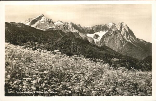 Garmisch-Partenkirchen Bergpanorama mit Wiese