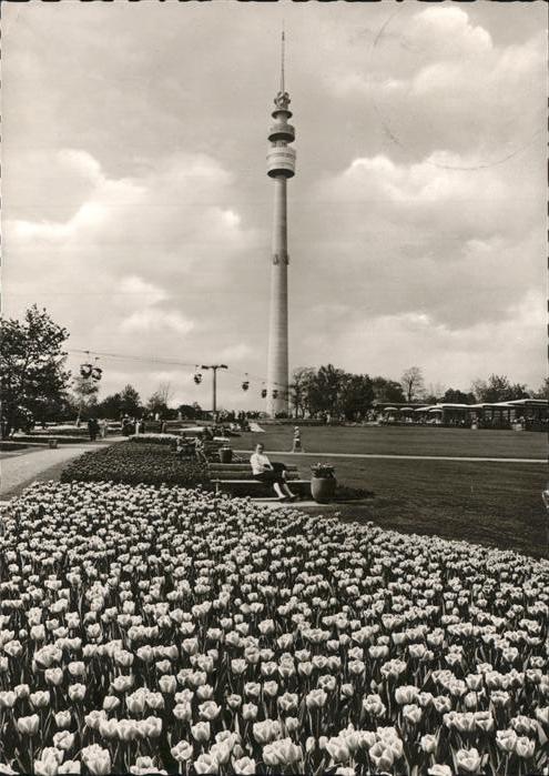 Dortmund Fernsehturm Tulpen Bundesgartenschau 19