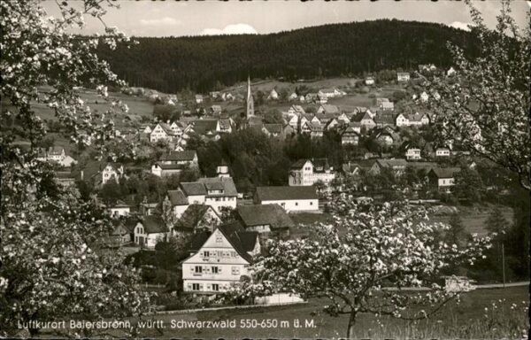 Baiersbronn Schwarzwald Panorama