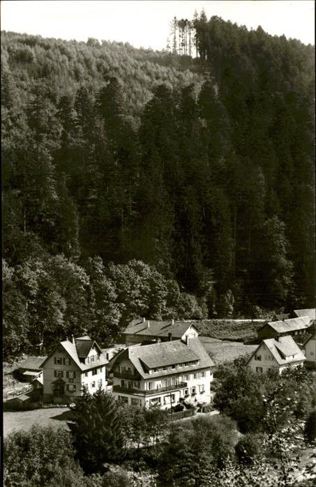 Schoenmuenzach Hotel Pension Klumpp